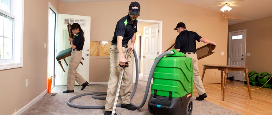 Washington, MI cleaning services