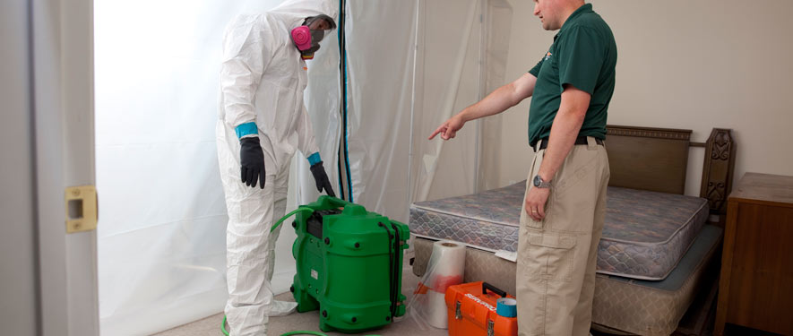 Washington, MI mold removal process